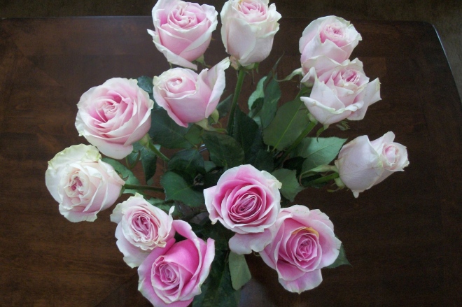 Pink Valentine Roses